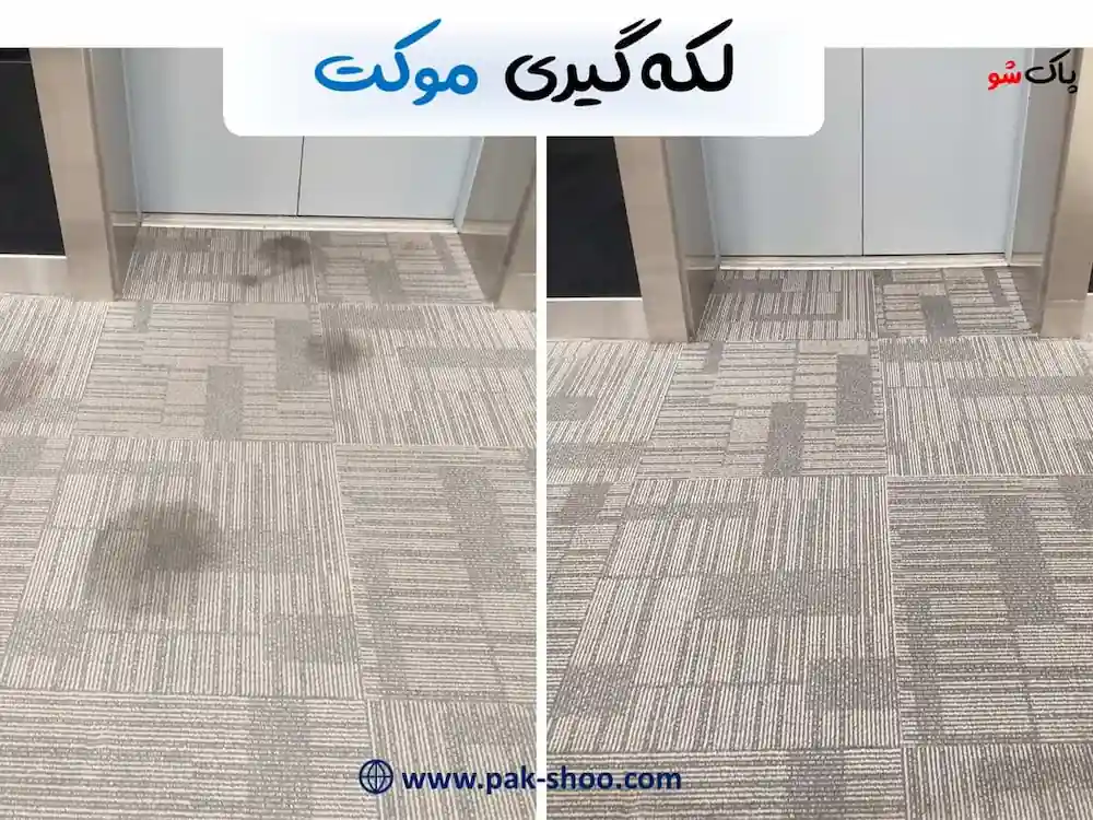 لکه گیری موکت
