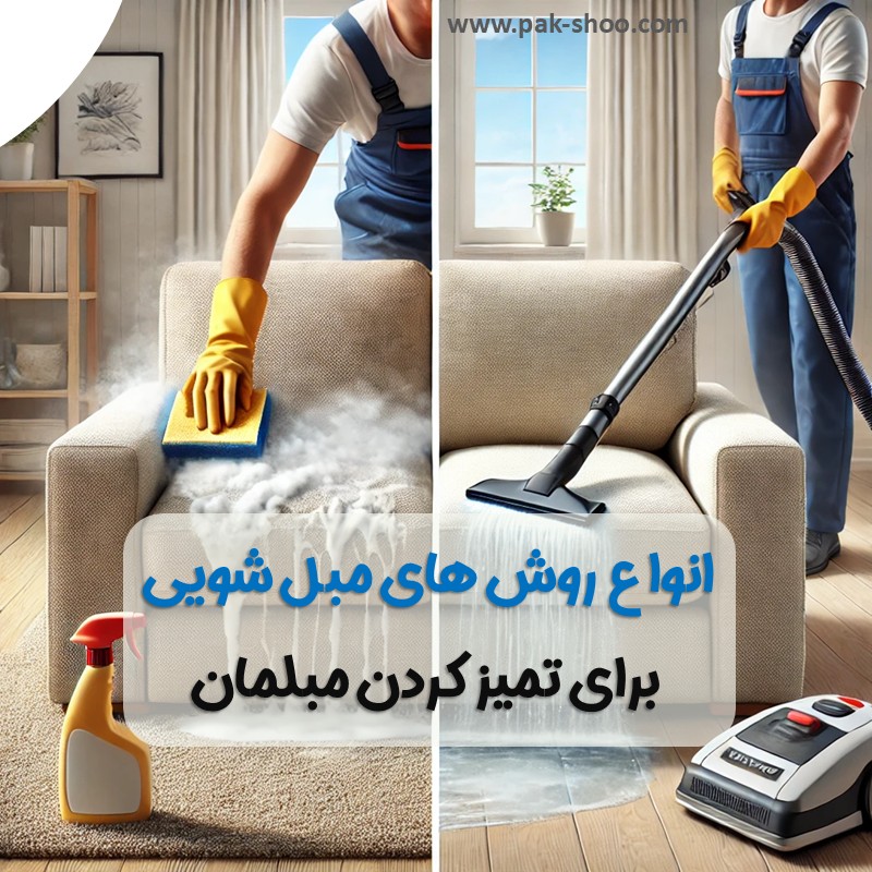 انواع روشهای مبل شویی