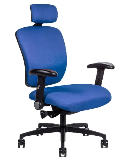 شستشوی صندلی